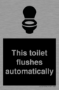 this-toilet-flushes-automatically~